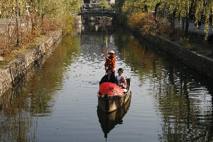 _MG_9137.jpg