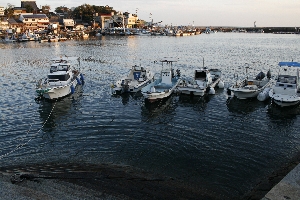 _MG_9184.jpg